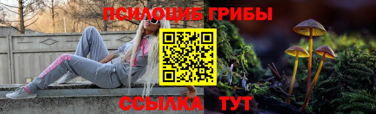 Псилоцибиновые грибы Psilocybe Апшеронск